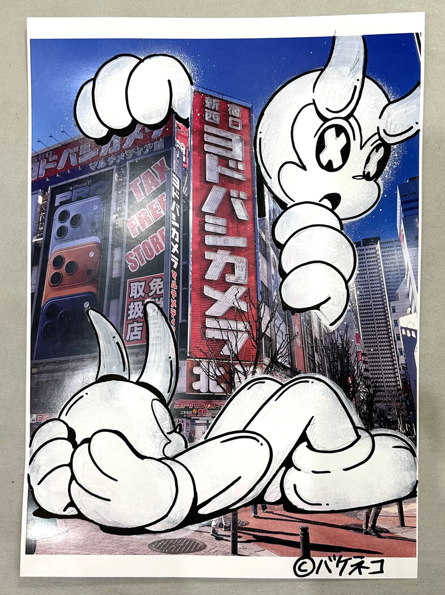 YODOBASHI CAMERA